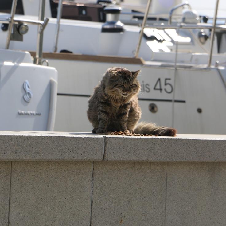 Yacht living moment
